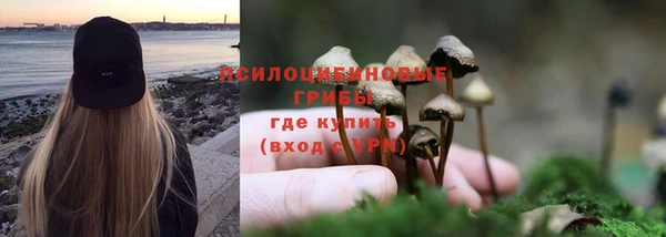 гидра Сафоново